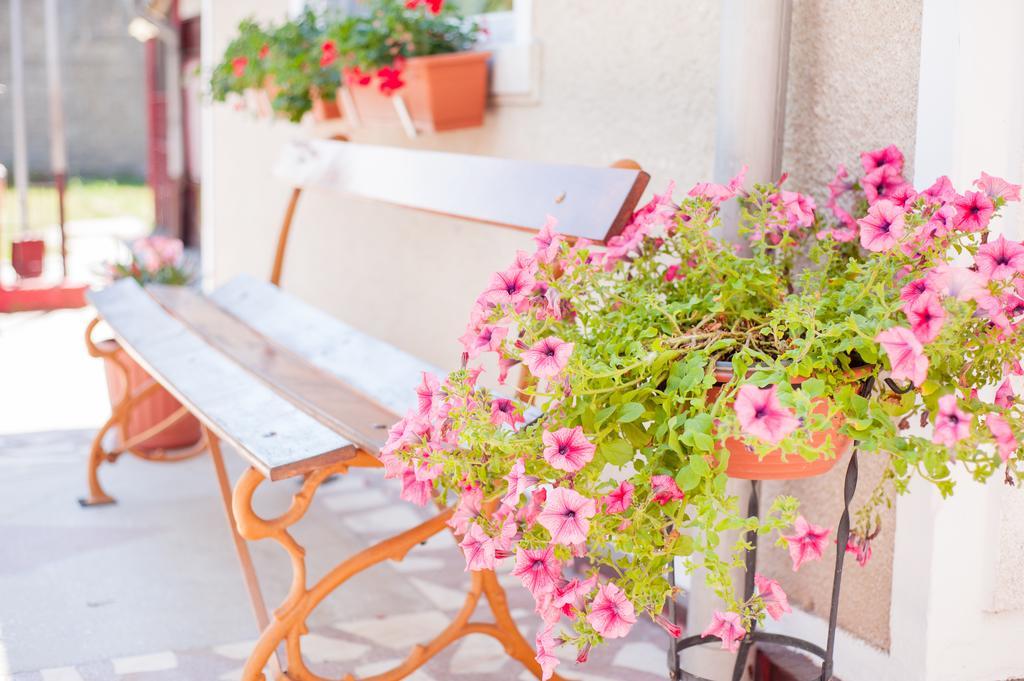Casa Maya Villa Haţeg Oda fotoğraf